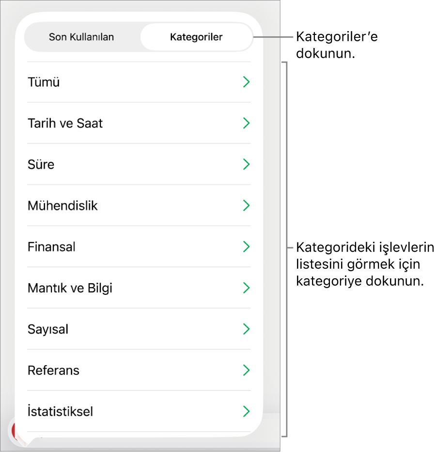 Kategoriler düğmesi seçili olarak ve onun altında kategori listesi ile İşlev Tarayıcı.