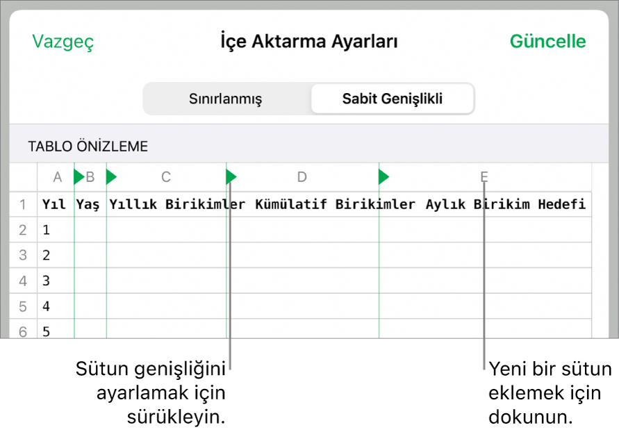 Sabit genişlikli metin dosyası için içe aktarma ayarları.