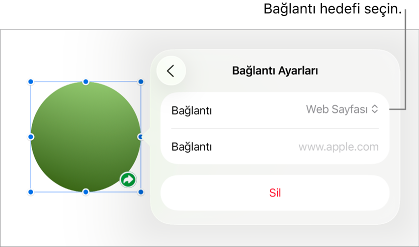 Bağlantı Ayarları denetimlerinde Web Sayfası seçili, en altta ise Sil düğmesi bulunuyor.