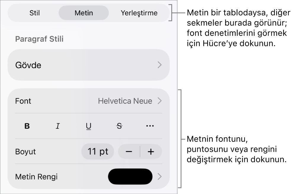 Paragraf ve karakter stillerini, fontunu, boyutunu ve rengini ayarlamak için Biçim menüsündeki metin kontrolleri.