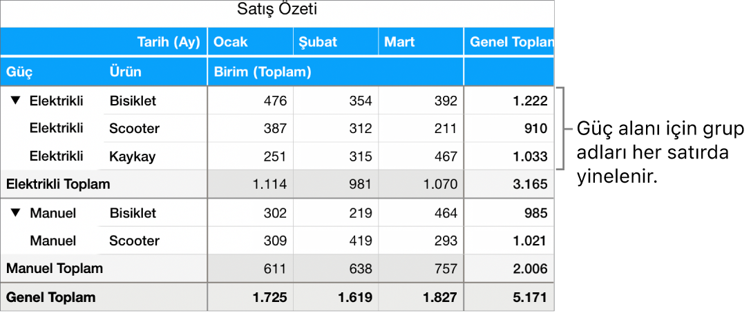 Güç alanı için grup adları olan ve her satırda yinelenen Elektrikli ve Manuel seçeneklerini gösteren bir özet tablo.