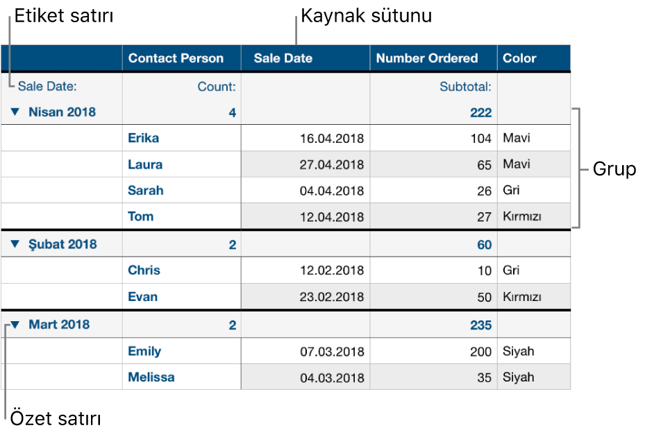 Kaynak sütunu, grupları, özet satırını ve etiket satırını gösteren, kategoriye ayrılmış bir tablo.
