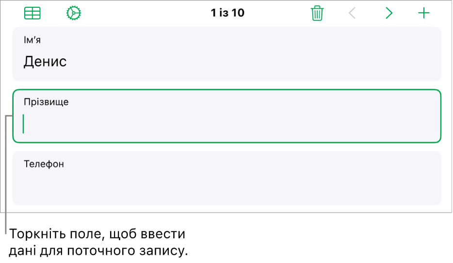 Запис у формі з активним полем і точкою вставлення.