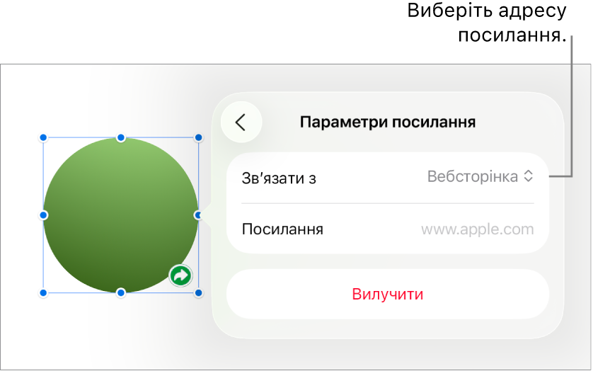Елементи керування параметрами посилань із вибраною вебсторінкою та кнопкою «Вилучити» внизу.