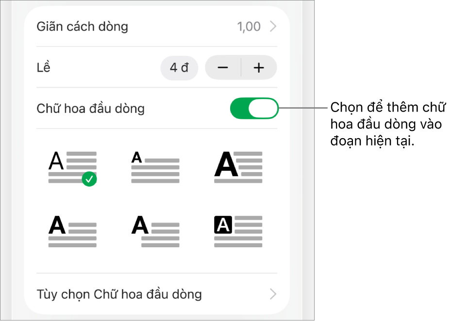 Các điều khiển Chữ hoa đầu dòng nằm trong menu Văn bản.