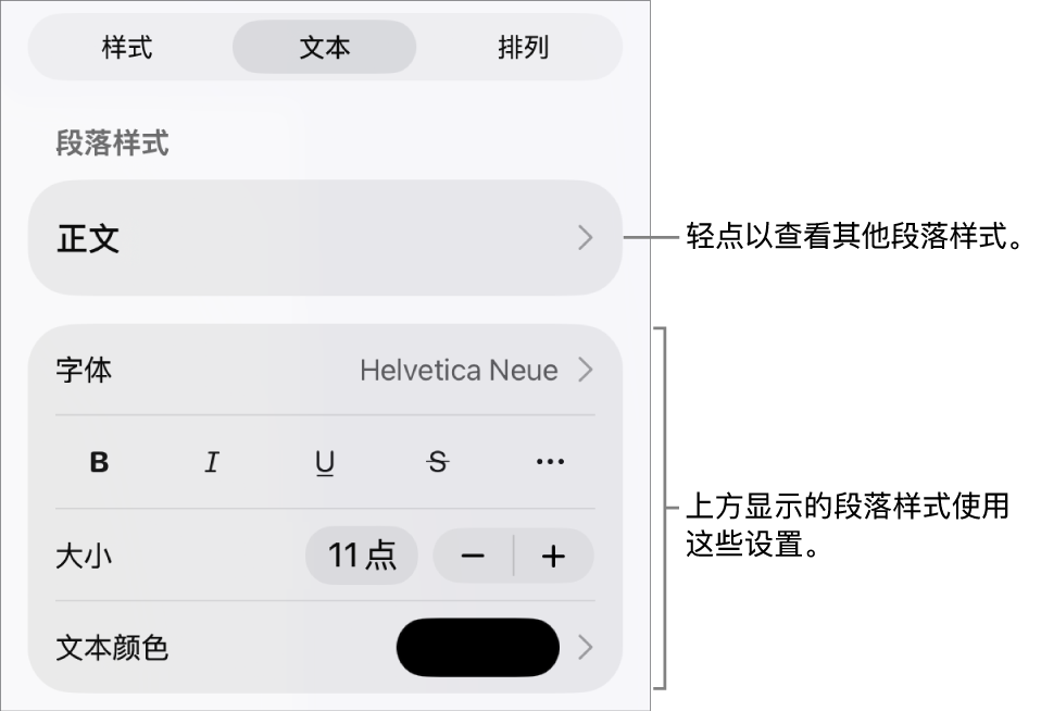 显示文本控制的“格式”菜单,用于设定段落和字符样式、字体、大小和颜色。