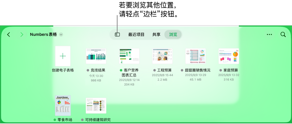 文稿管理器的浏览视图,左上角带有位置链接,其下方是搜索栏。右上角是“添加电子表格”按钮,“新建文件夹”按钮,用于选择列表或图标视图以及按名称、日期、大小、种类和标签过滤的弹出式菜单以及“选择”按钮。这些按钮下方是现有电子表格的缩略图。