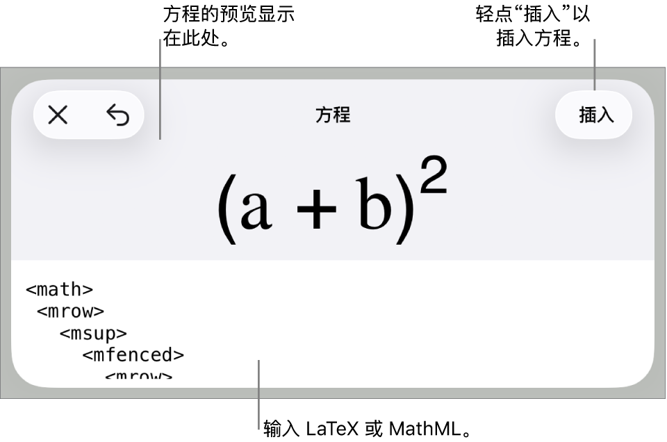 “方程”对话框,显示使用 MathML 命令所写的方程,以及上方公式的预览。