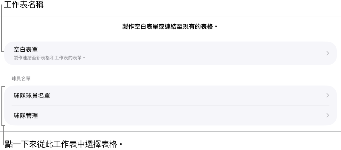 表格列表在同一個試算表上顯示,以及最上方顯示製作空白表單的選項。