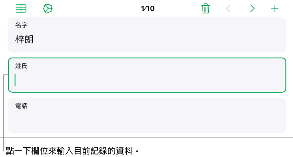 表單中的記錄,顯示一個包含插入點的活躍欄位。