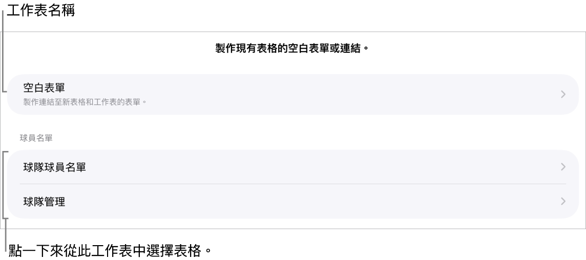位於同一試算表中的表格列表，最上方為製作空白表單的選項。