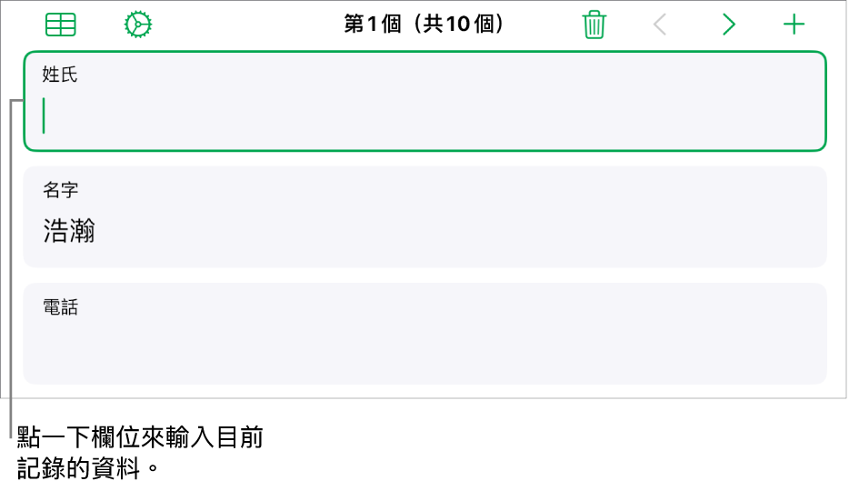 表單中的記錄顯示包含插入點的使用中欄位。