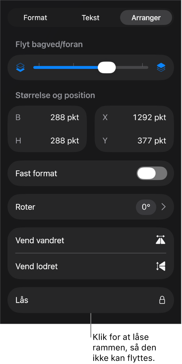 Betjeningsmulighederne under Arranger på menuen Format med knappen Lås fremhævet.