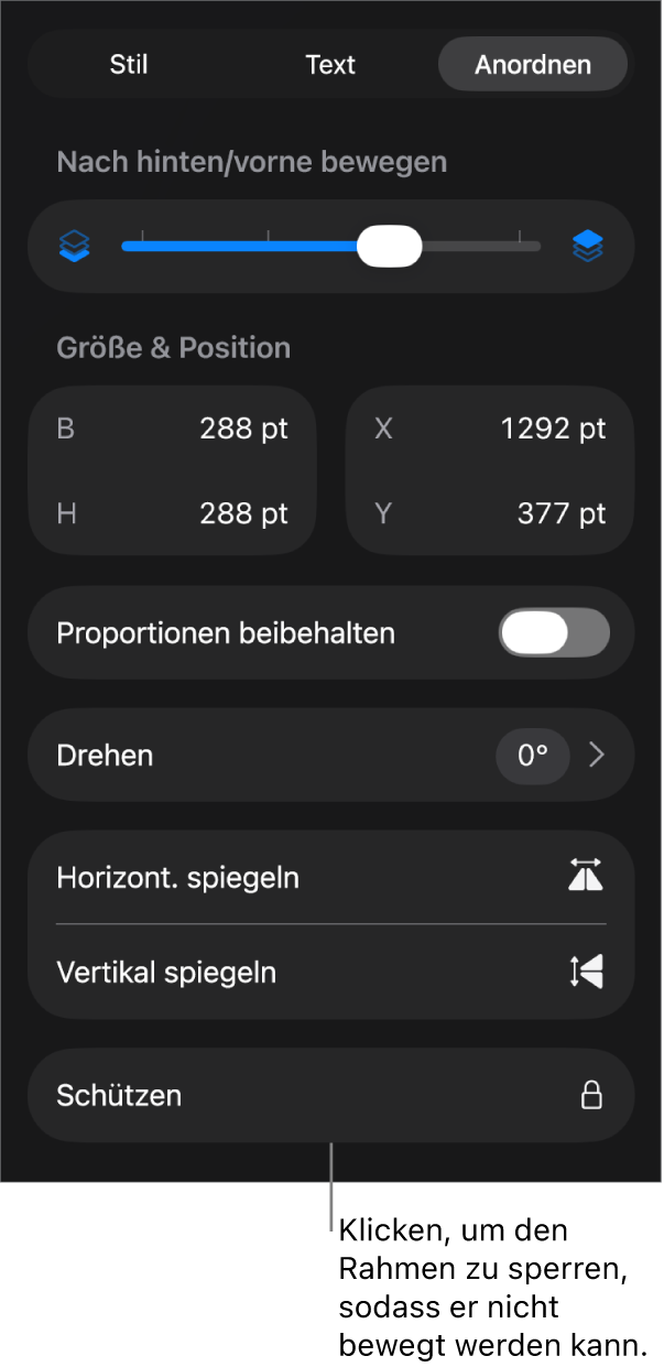 Die Steuerelemente „Anordnen“ im Menü „Format“ und die Taste „Schützen“ ist markiert