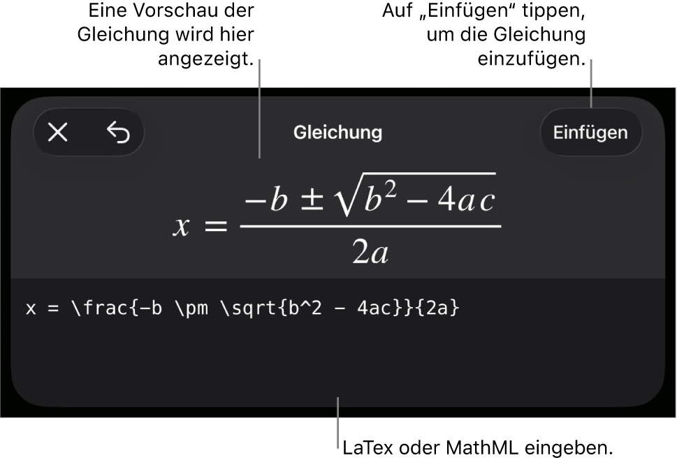 Im Dialogfenster „Gleichung“ wird eine Gleichung angezeigt, die mit MathML-Befehlen geschrieben wurde, darüber wird eine Vorschau der Formel angezeigt.