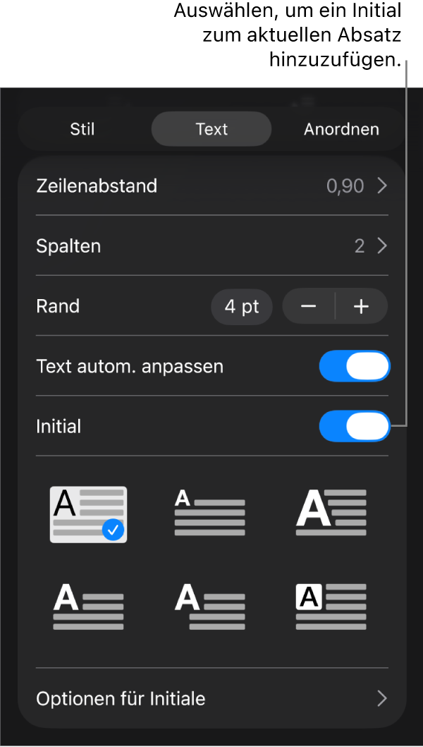 Die Steuerelemente „Initial“ im Menü „Text“