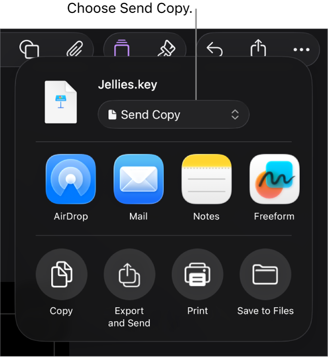 The Share menu with Send Copy selected at the top.