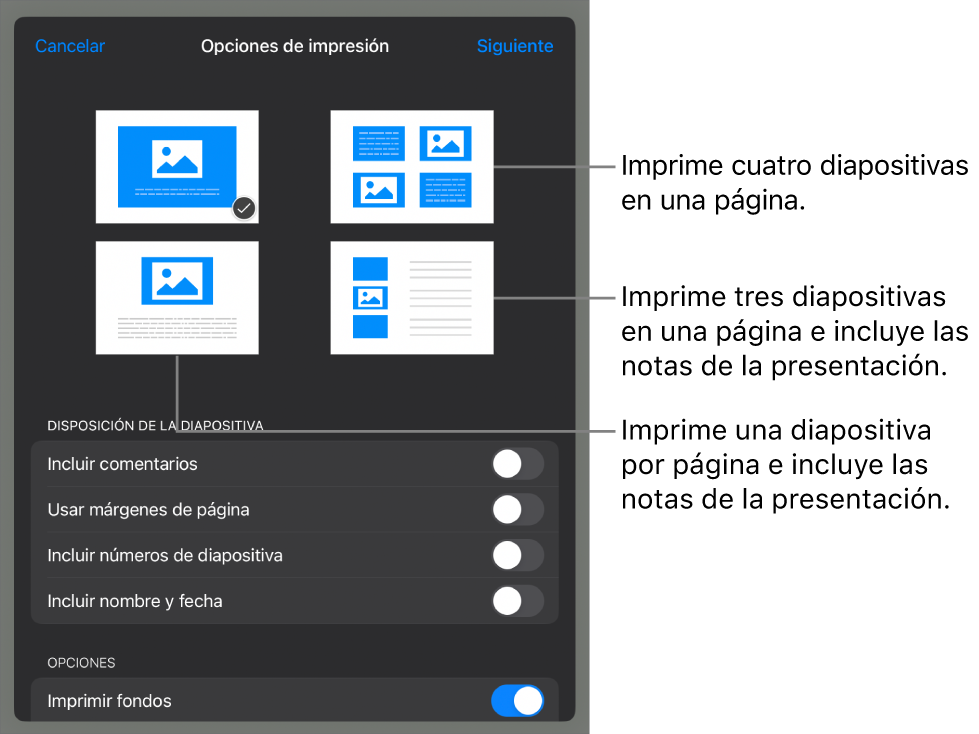 Opciones de disposición de impresión.