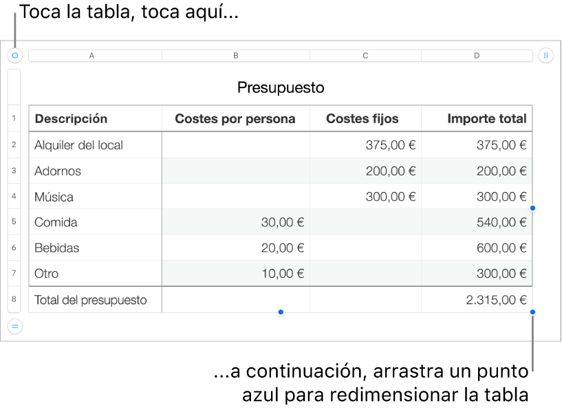 Una tabla seleccionada con puntos azules para redimensionarla.