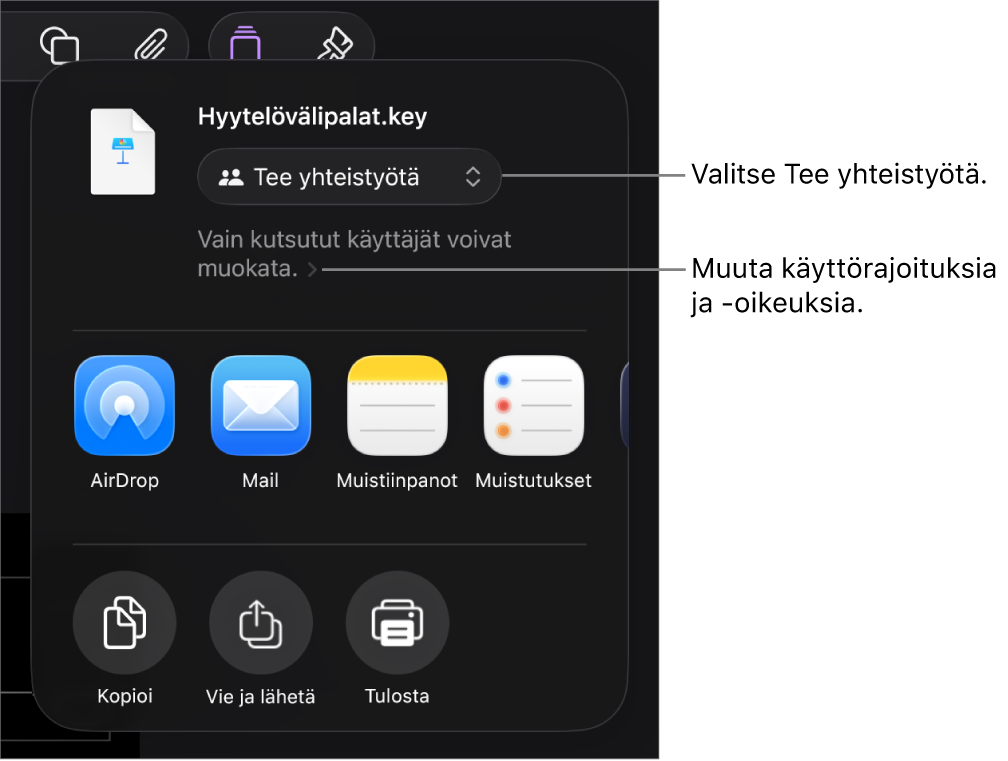 Jaa-valikko, jossa on ylhäällä valittuna Tee yhteistyötä, ja sen alla ovat käyttöoikeus- ja lupa-asetukset.