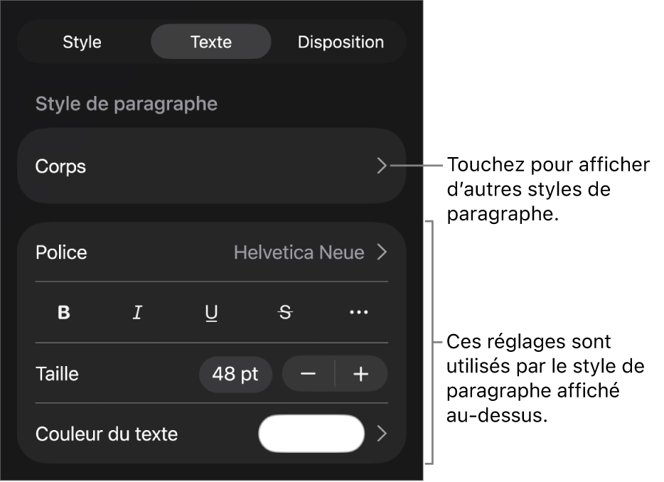 Menu Format avec commandes de texte permettant de définir les styles, la police, la taille et la couleur des paragraphes et des caractères.