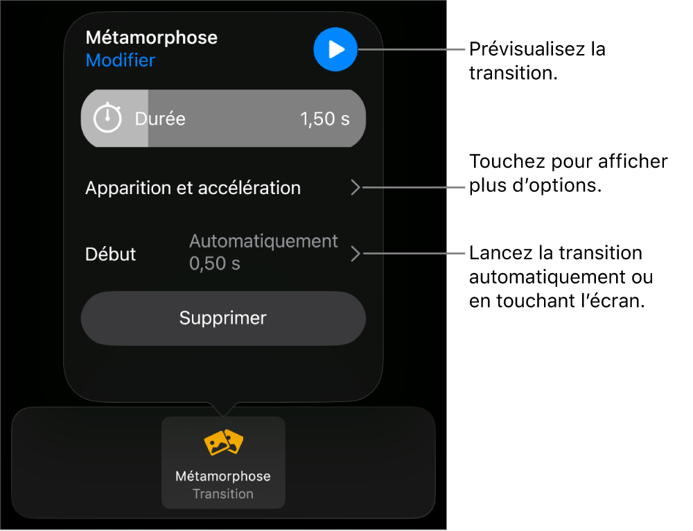Commandes Métamorphose de la sous-fenêtre Transitions.