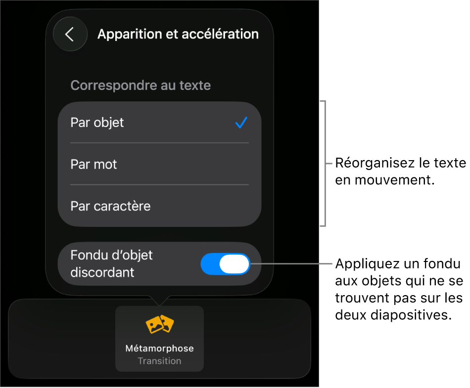 Options d’apparition et d’accélération Métamorphose dans la sous-fenêtre Accélération.