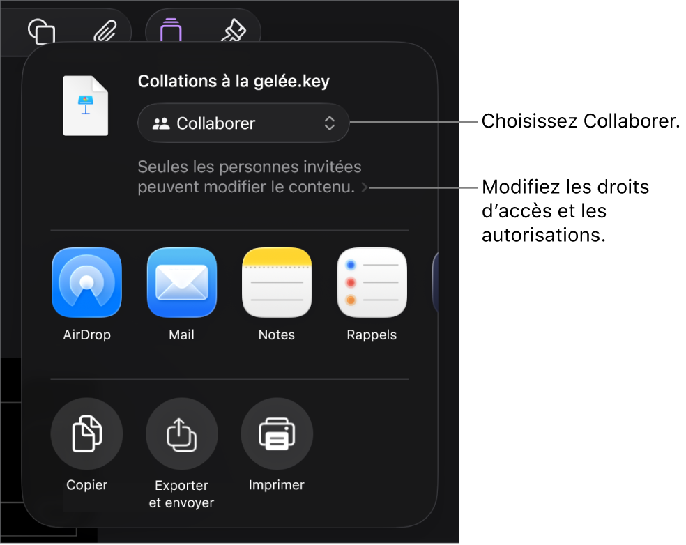 Le menu Partager avec l’option Collaborer sélectionnée dans le haut, au-dessus des réglages d’accès et d’autorisation.
