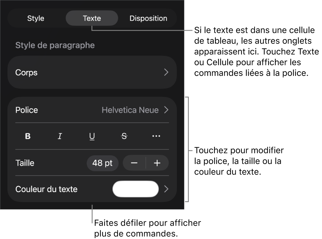 Commandes de texte du menu de format permettant de définir les styles, la police, la taille et la couleur des paragraphes et des caractères.