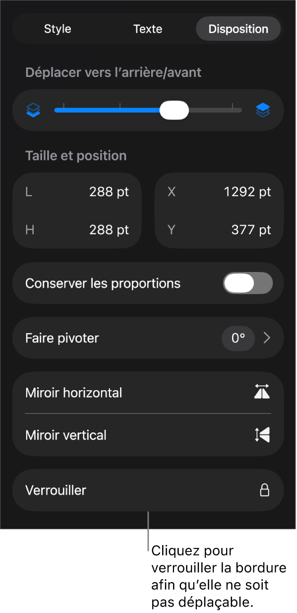 Les commandes Disposition dans le menu Format avec le bouton Verrouiller en évidence.