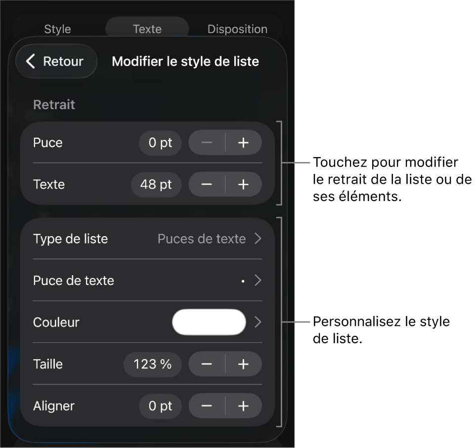 Menu Style de liste avec les commandes pour modifier le type et l’apparence de la liste.