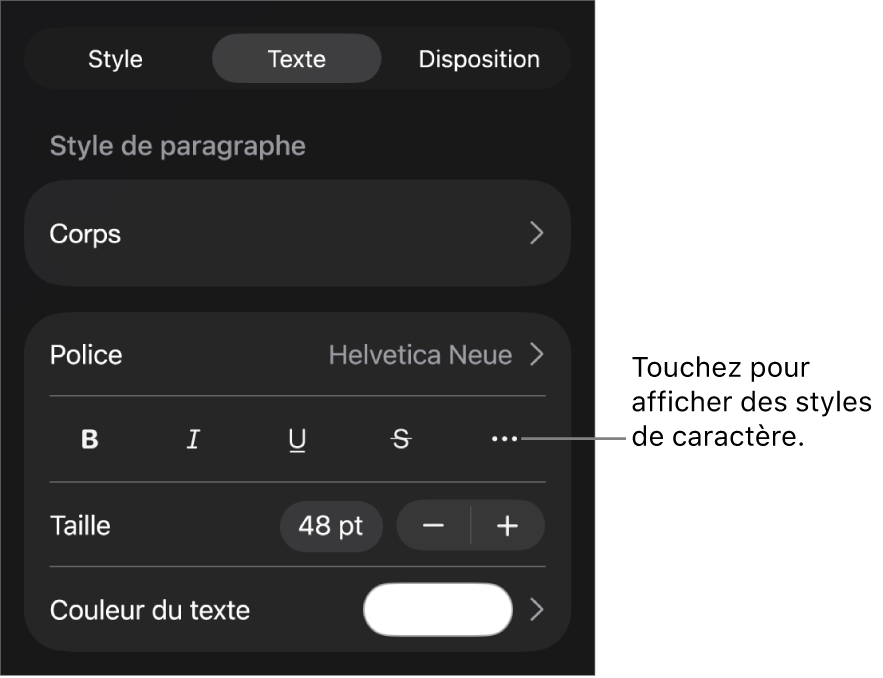 Les commandes de mise en forme avec les styles de paragraphe en haut, suivis des commandes de police. En dessous de Police se trouvent les boutons Gras, Italique, Souligné, Barré et « Plus d’options de texte ».