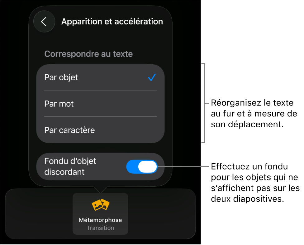 Options d’apparition et d’accélération des transitions Métamorphose dans la sous-fenêtre Accélération.