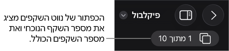 הכפתור של נווט השקפים, מציג את המספר של השקף הנוכחי ואת המספר הכולל של שקפים במצגת.