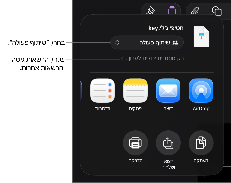 תפריט השיתוף כאשר האפשרות ״שיתוף פעולה״ נבחרת בחלק העליון ומתחתיה הגדרות הגישה וההרשאות.