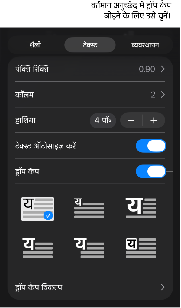 ड्रॉप कैप नियंत्रण टेक्स्ट मेनू के नीचे होते हैं।