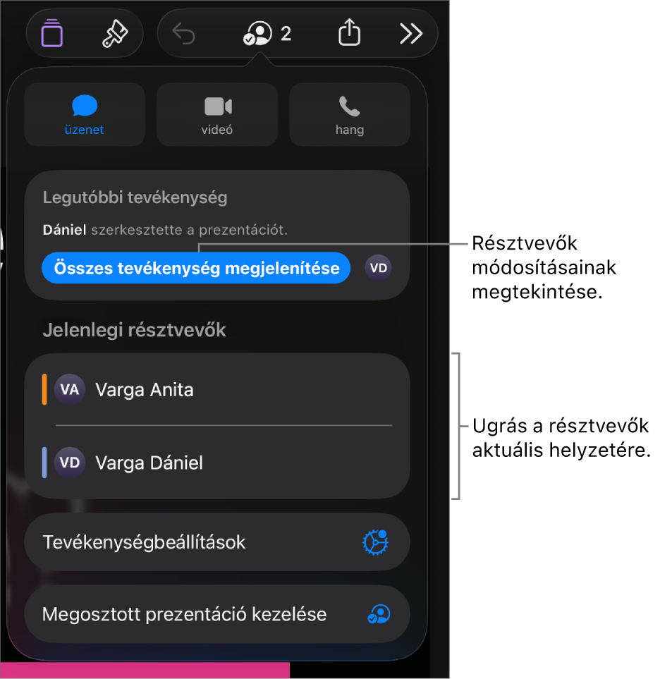Az együttműködési menü a jelenlegi résztvevőkkel.