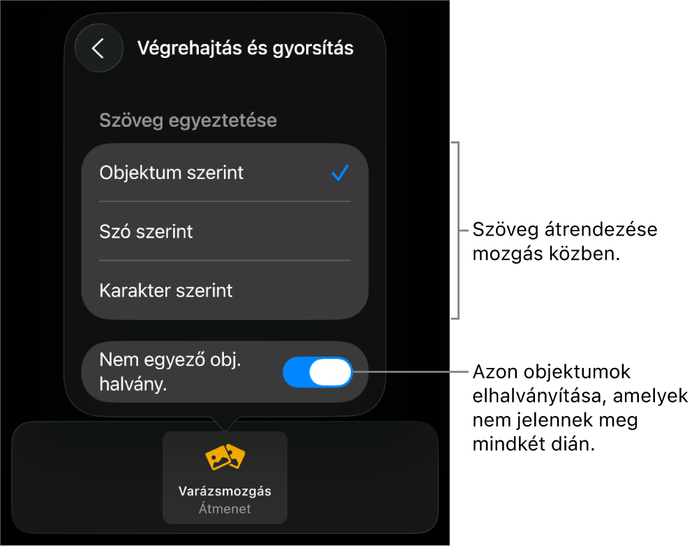 A Varázsmozgás végrehajtás és gyorsítás beállításai a Gyorsítás panelen