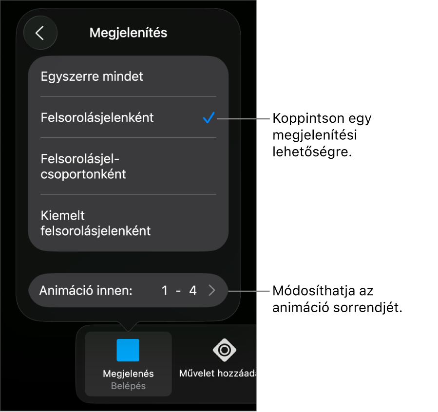 Végrehajtási beállítások a Belépés panelen.