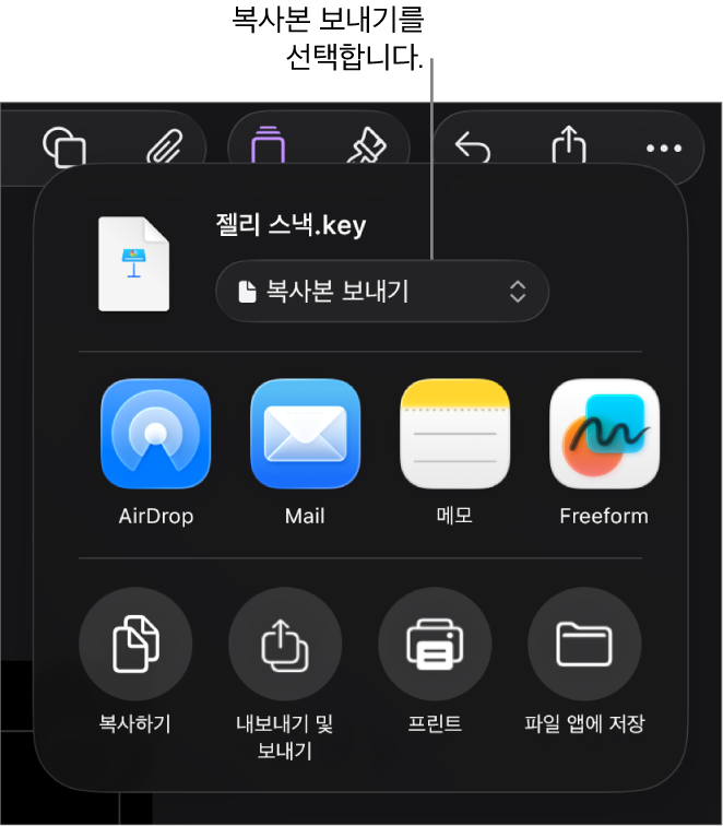 상단에 복사본 보내기가 선택되어 있는 공유 메뉴.