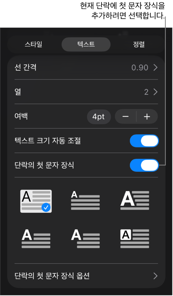 텍스트 메뉴에 위치한 ‘단락의 첫 문자 장식’ 제어기.