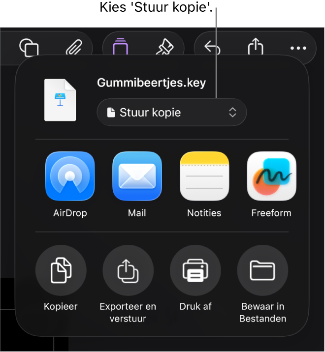 Het Deel-menu waarin bovenin 'Stuur kopie' is geselecteerd.