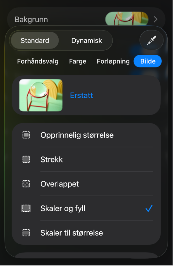Bakgrunn-kontroller med et bilde angitt som lysbildebakgrunn og Fargeoverlegg-kontrollen nederst.