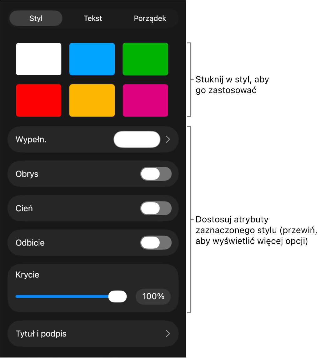 Karta Styl w menu Format, zawierająca na górze style obiektów, a poniżej narzędzia pozwalające na zmienianie obrysu, cienia, odbicia i krycia.