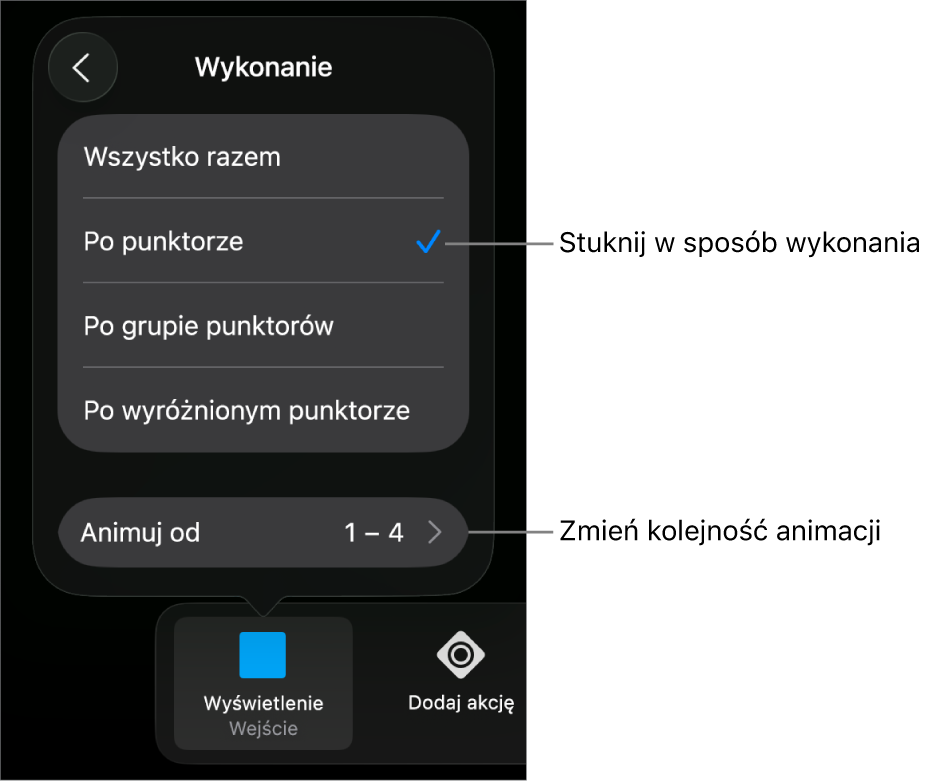 Opcje wykonania w panelu Wejście.