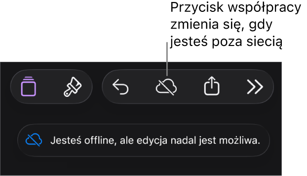 Przyciski znajdują się u góry ekranu; przycisk współpracy wyświetlany jest jako chmura przekreślona ukośną linią. Alert zawierający następującą informację: Brak połączenia z siecią, ale edycja nadal jest możliwa.