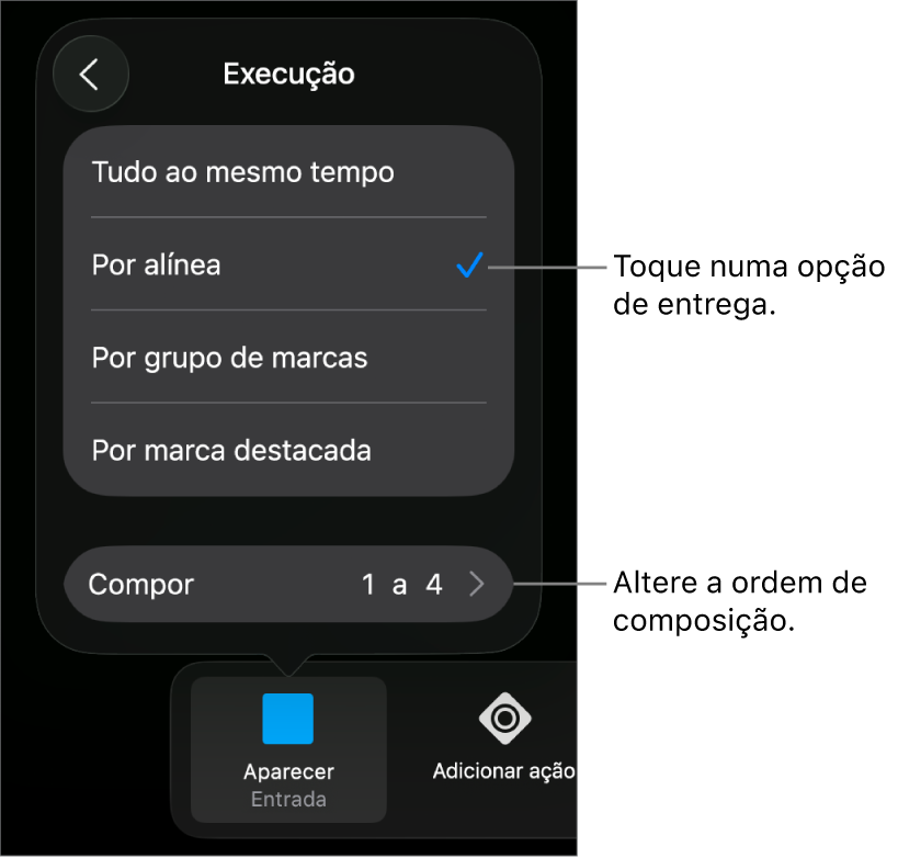 Opções de execução no painel “Entrada”.