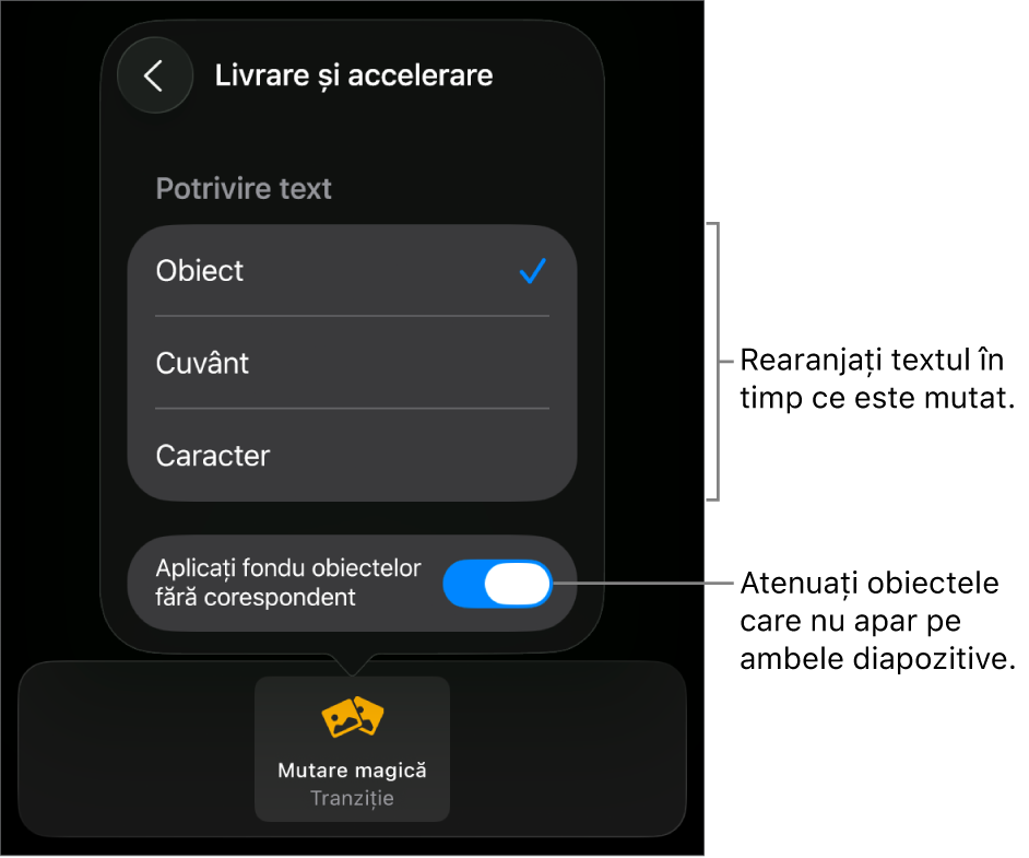 Opțiunile de livrare și accelerare Mutare magică din panoul Accelerare.