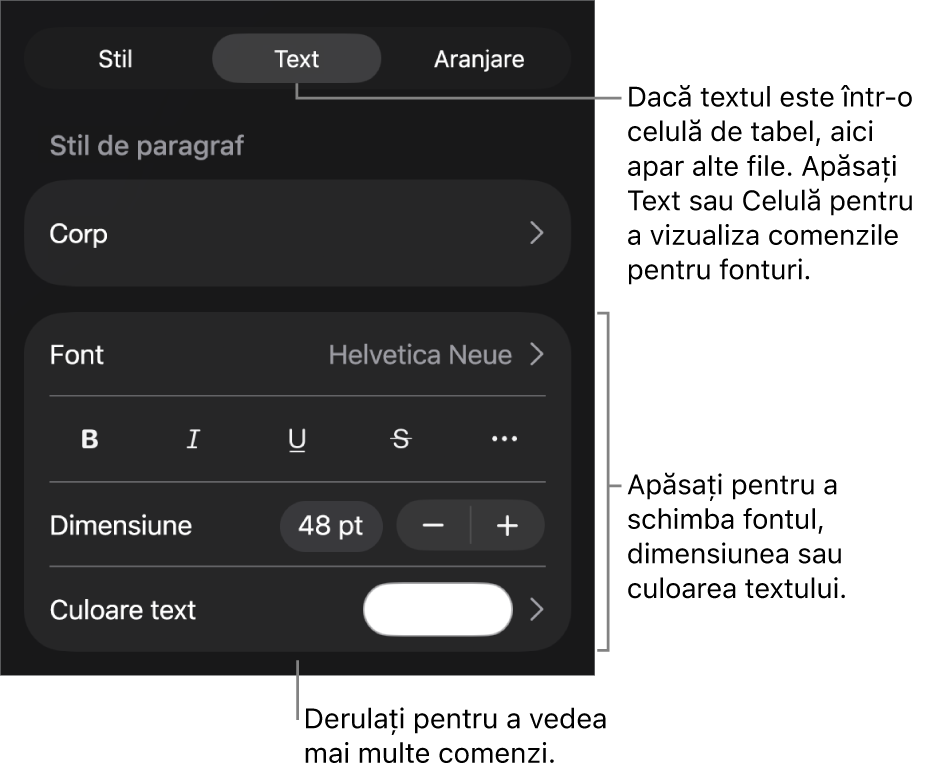 Comenzi text din meniul Format pentru configurarea paragrafelor și a stilurilor, fonturilor, dimensiunii și culorii caracterelor.