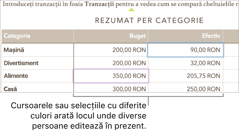 Cursoarele sau selecțiile cu diferite culori arată locul unde diverse persoane editează în prezent.